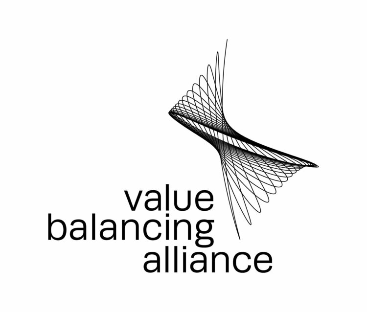 Value Balancing Alliance